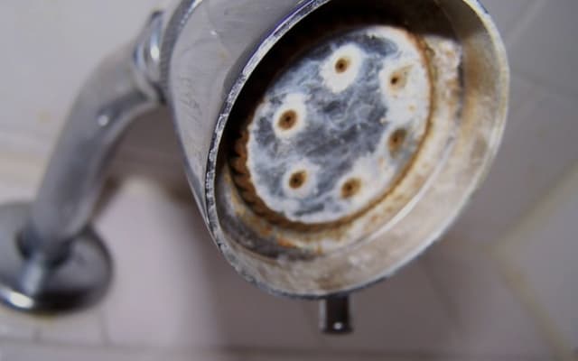 Restos de cal en una alcachofa de ducha